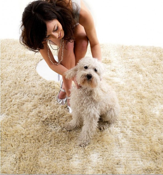 Soft Textured Carpet Design from Dhesja Beautiful Texture Carpet Design from Dhesja