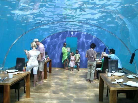 Guest in Ithaa Restaurant