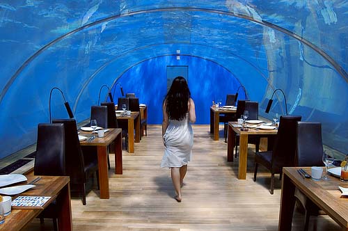 The Sea Enchanting Beauty of Ithaa Restaurant